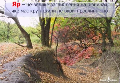 C:\Users\Алексеевсая школа\Desktop\2460715.jpeg